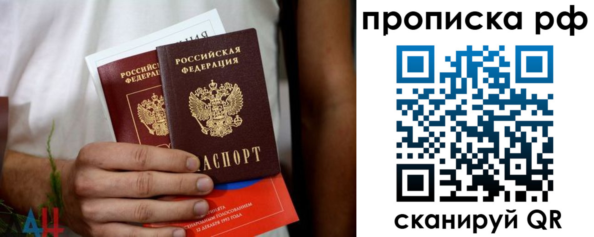 прописка 2025 в Павловске