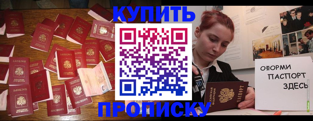 временная регистрация поиск в Павловске